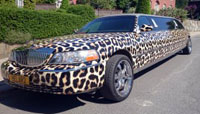 Leopard Limousine